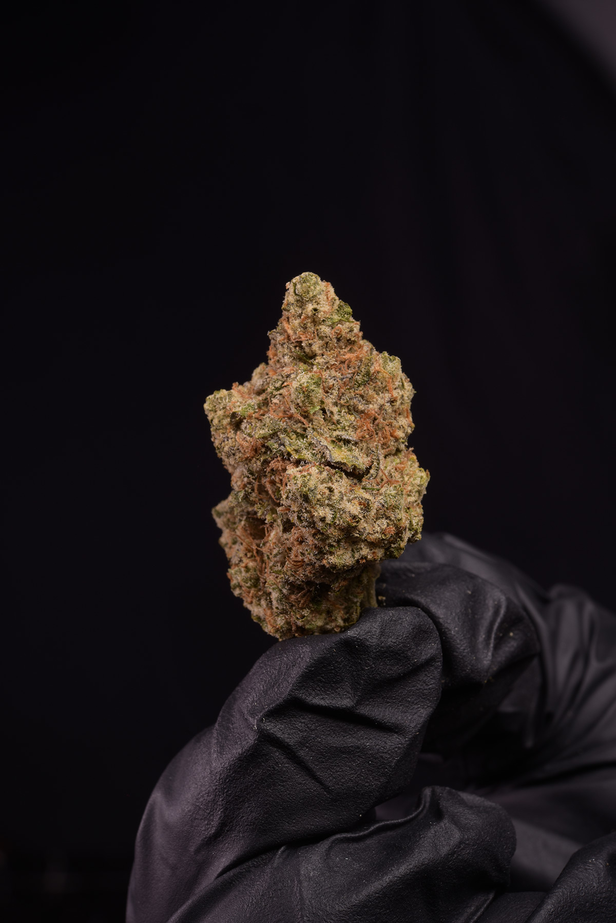 Alien X Permanent Marker Hybrid