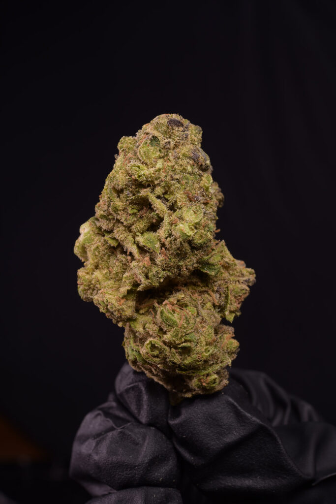 Blueberry Haze Sativa