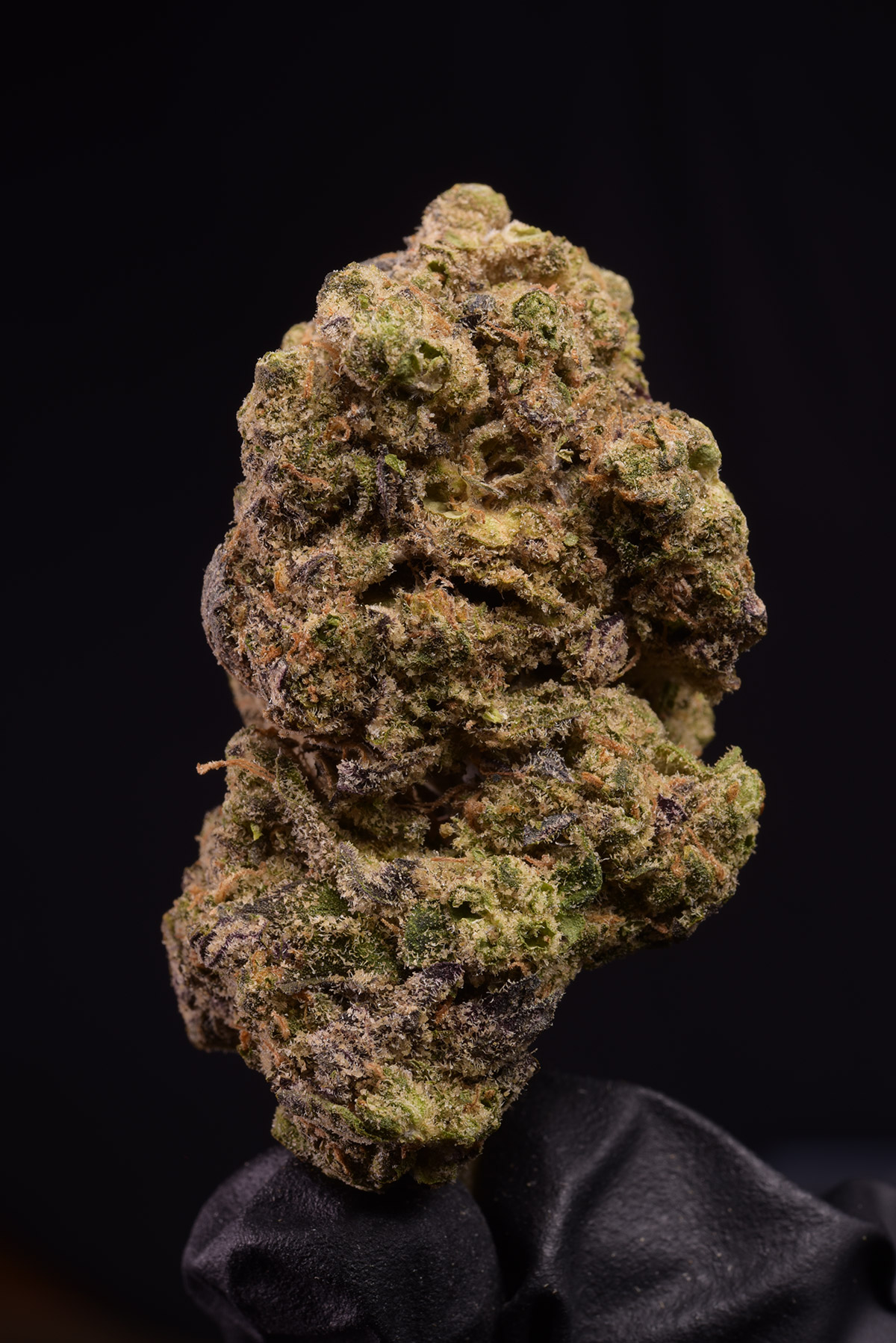 Purple Churro Hybrid