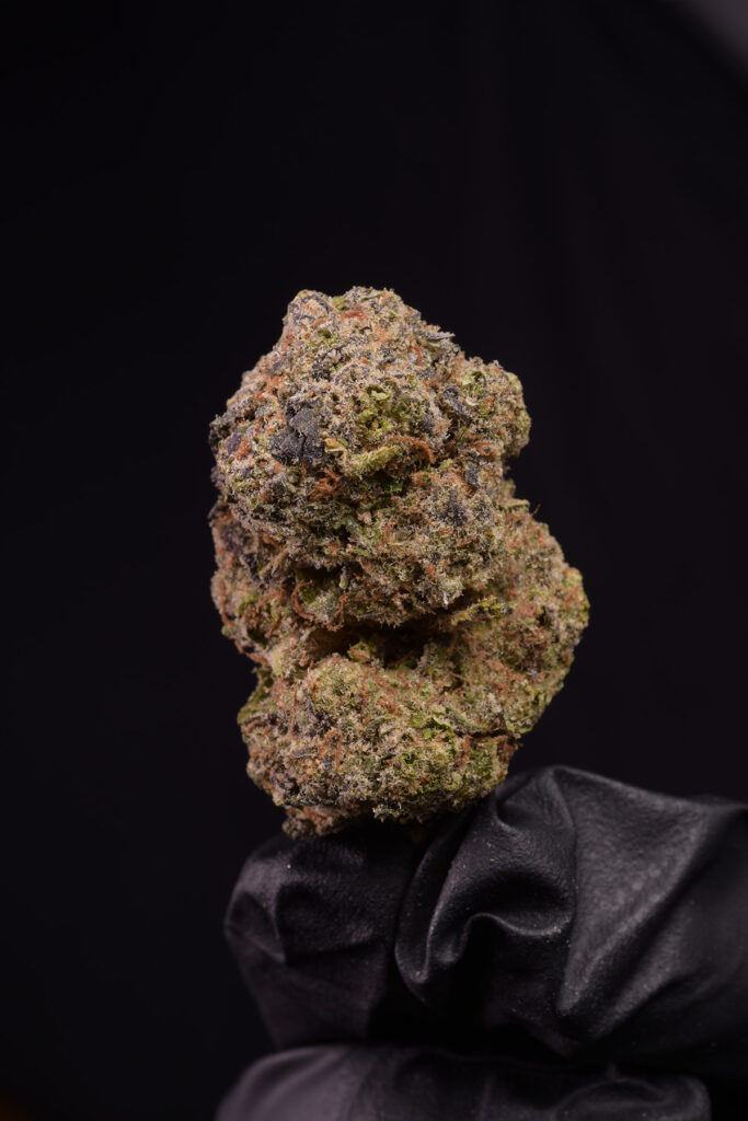 Slurricane Hybrid Sativa